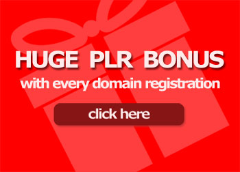 Domain Name Bonuses